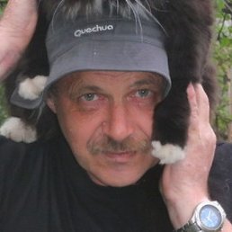 �����, ������, 68 ���