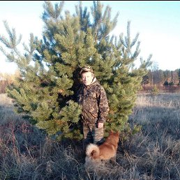 ������� �����, ���������, 60 ���