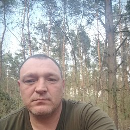 ���� ���������, ���������, 48 ��� - ��������� 4 ������ 2026