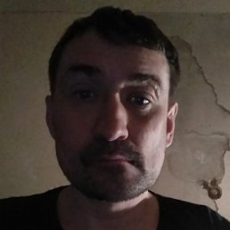 ���, ���, 44 ����