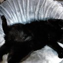 ���� �������, �������� - ��������� 17 ������ 2025 � ������ ������ ��������