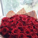 ���� ������, ��������, 56 ��� - ��������� 30 ������� 2024 � ������ ���� ����������