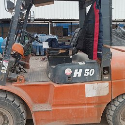 �����, �����������, 41 ���