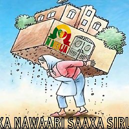 Bb, �����������, 28 ���