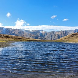 �����, �����������, 50 ���