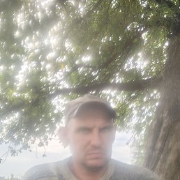  , 37, 