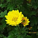 ���� ������, ��������� - ��������� 9 ������ 2025 � ������ ������ �� �����