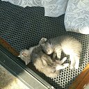 ���� �����, �����, 40 ��� - ��������� 19 ���� 2025 � ������ ���� ����������