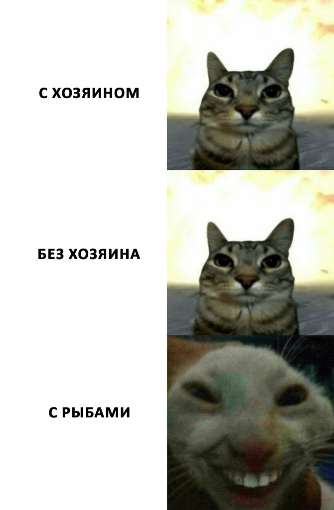 ������ ��� �� ��� �� ����� � ������ �����������! ��� ��������: � ������� ����� �� ����� � ��� � ��� ... - 2