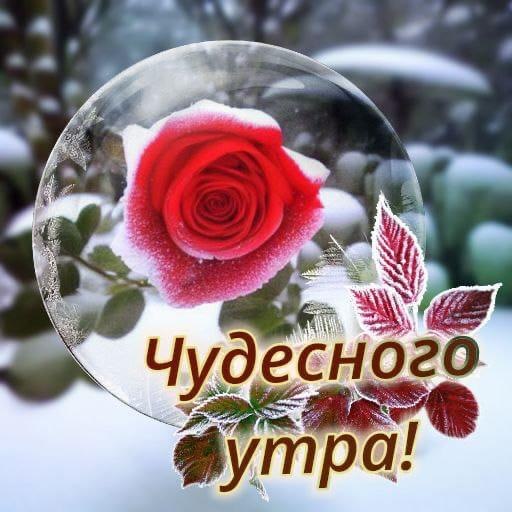 ***Victoria Viktorovna*** - 14  2023  04:47 - 2