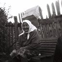 ���� �������, ������, 66 ��� - ��������� 25 ������� 2024 � ������ ������ ��������