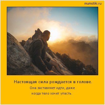ОБО ВСЕМ - 11 октября 2025 в 14:18