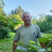 ���������, 62 ����, ���������