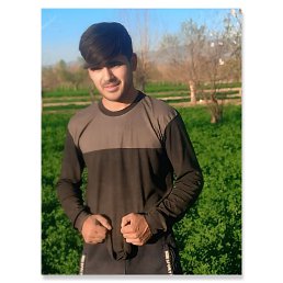 , 25, 