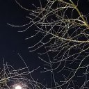 ���� �������., ������� - ��������� 1 ������� 2026 � ������ ������ ��������