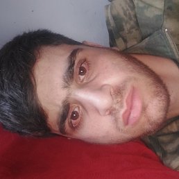 , 37, 