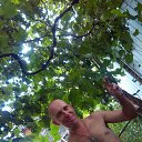 ���� ������, ��������, 41 ��� - ��������� 16 ������� 2026 � ������ ���� ����������