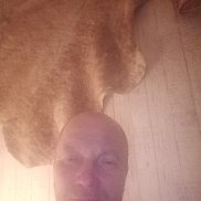 ������, 47 ���, ����������