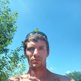 , 39, 