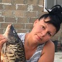 ���� ������, ���������, 44 ���� - ��������� 18 ������� 2025