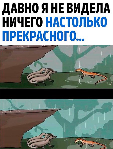     !