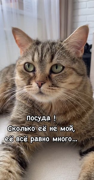 Всего несколько вещей, можно было бы запомнить