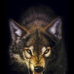 Jackson, �����-���������, 45 ���