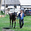 ���� ��������, �������, 27 ��� - ��������� 15 ������ 2025 � ������ ���� ����������