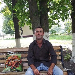 , 45, 