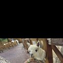 ���� ������ � ������, ������, 52 ���� - ��������� 10 ������� 2026 � ������ ���� ����������