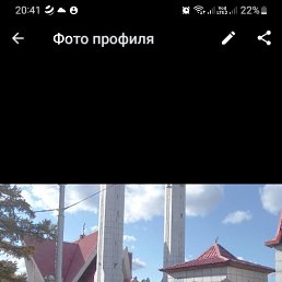 ���� �����, �����������, 41 ��� - ��������� 15 ������ 2024