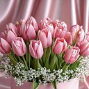 ���� Elina, ����, 50 ��� - ��������� 8 ����� 2025 � ������ �������