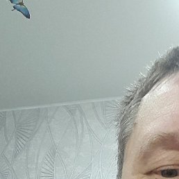 ����, �����������, 41 ���