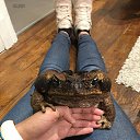 ���� ����������, ���������, 59 ��� - ��������� 23 ���� 2026 � ������ ������ ��������
