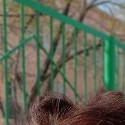 �����, 67 ���, �����