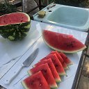 ���� ������, ��������, 49 ��� - ��������� 10 ������� 2025 � ������ ���� ����������