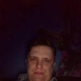 , 41 , 