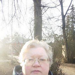 ���� �������, �����, 56 ��� - ��������� 6 ������ 2026