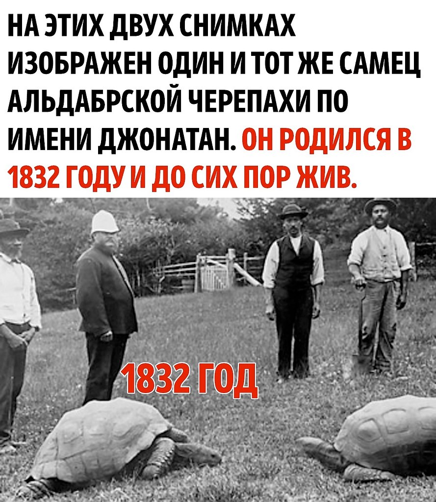         ,        ...