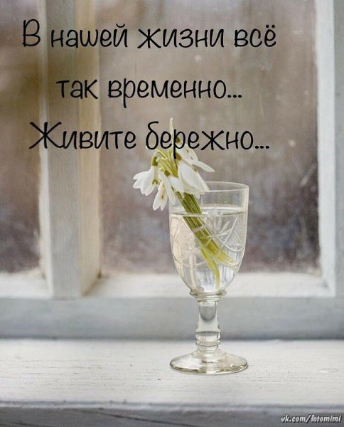   - 19  2024  19:46