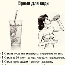 ���� �����, ��������� - ��������� 8 ����� 2024 � ������ ���� ����������