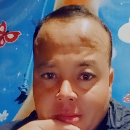  , 33, 