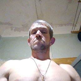 �����, 40 ���, ������