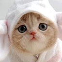 ���� �����, ����, 40 ��� - ��������� 10 ����� 2026