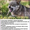 ���� ���������, ������������, 56 ��� - ��������� 26 �������� 2026 � ������ ������ ��������