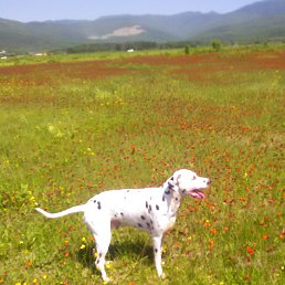 ���� �������, ����-���������, 55 ��� - ��������� 24 ������� 2025