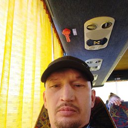 , 41, 