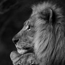 ���� ��������, ��������, 45 ��� - ��������� 22 ������ 2024 � ������ ���� ����������
