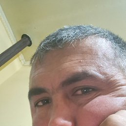 �����, ������, 36 ���