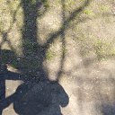 ���� ���������, �����������, 37 ��� - ��������� 28 ��� 2026